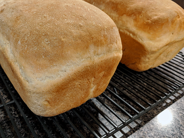 Cottage bread cooling on a rack
