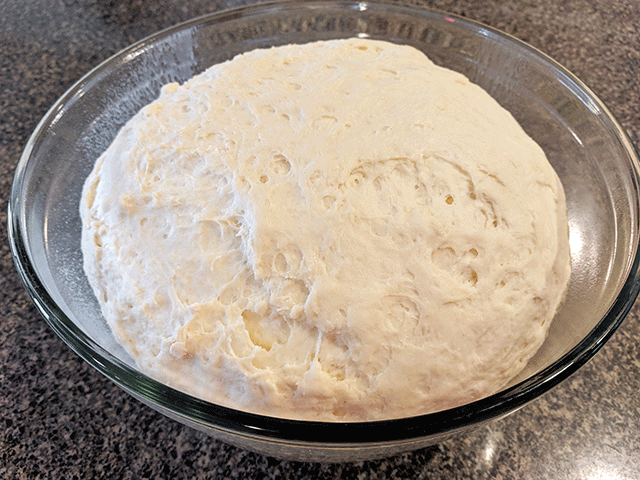 First rise of cottage bread dough