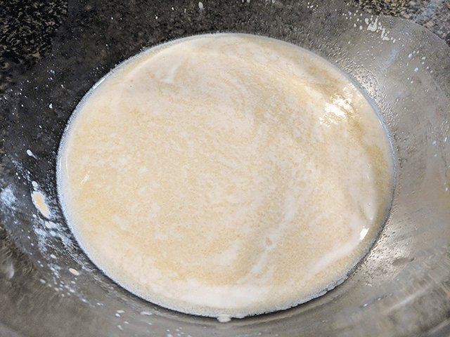 yeast and water in a bowl