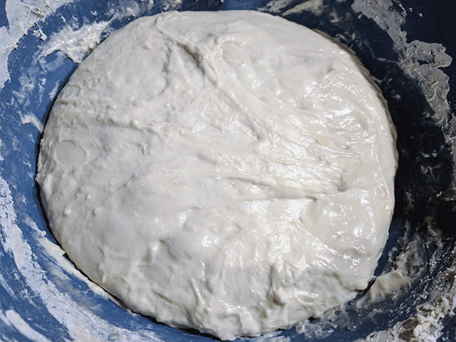 dough for no knead artisan-style sourdough bread