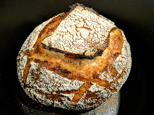 cooked sourdough for no knead artisan-style sourdough bread
