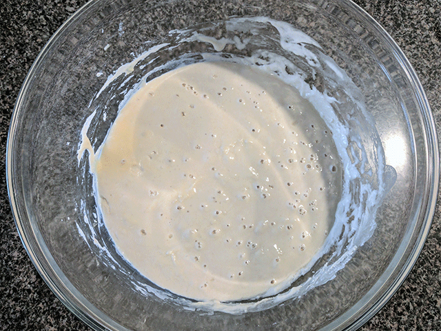 day 4 of sourdough starter in a bowl