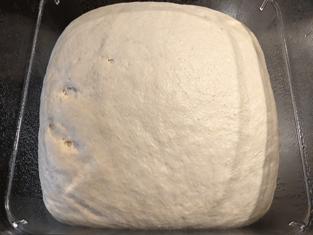 crusty sourdough sandwich bread dough