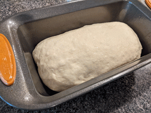 sourdough in bread pan
