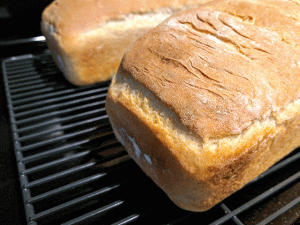 finished baking sourdough bread on cooling rack
