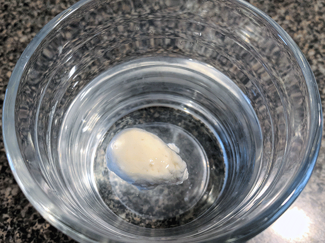 levain floating in glass of water