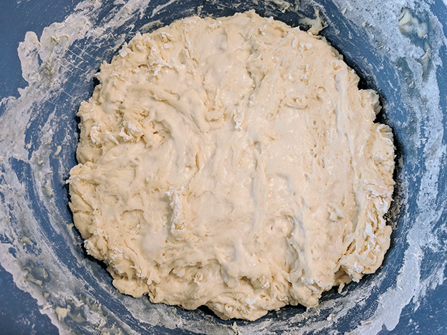 let dough sit in bowl for no knead artisan-style sourdough bread
