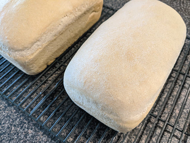 beginner sourdough sandwich bread