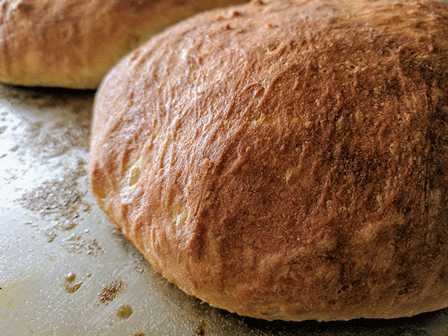 simple no-knead peasant bread on a pan
