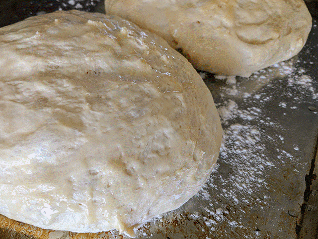 simple no-knead peasant bread dough on a pan