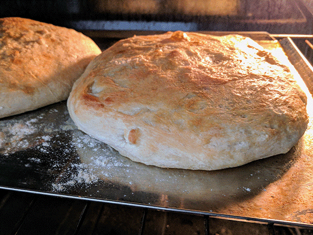 simple no-knead peasant bread baking in oven