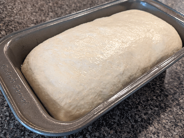 beginner sourdough sandwich bread dough