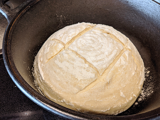 scored sourdough discard bread dough in dutch oven