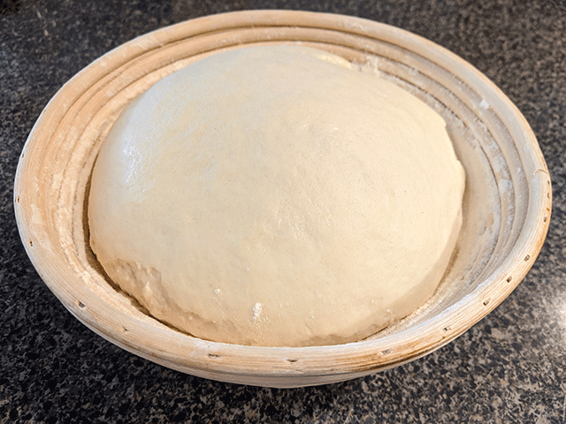 sourdough discard bread dough in banneton