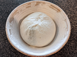 ball of sourdough discard bread dough in banneton