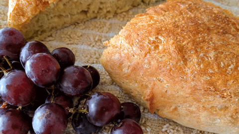 Found! Easy Same-Day Peasant Bread Recipe