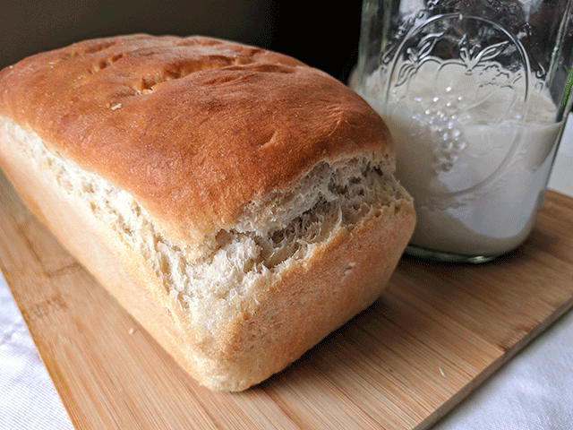 Sourdough bread with wild yeast starter