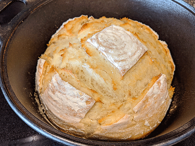 half baked sourdough discard bread in dutch oven