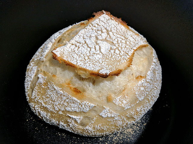 sourdough mid bake in dutch oven for no knead artisan-style sourdough bread