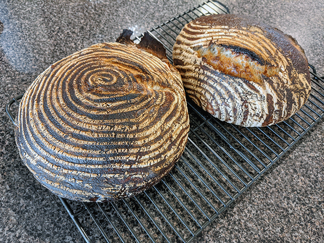 burnt and botched pain de campagne