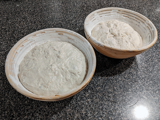 dough in banneton baskets