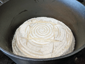dough scored in dutch oven