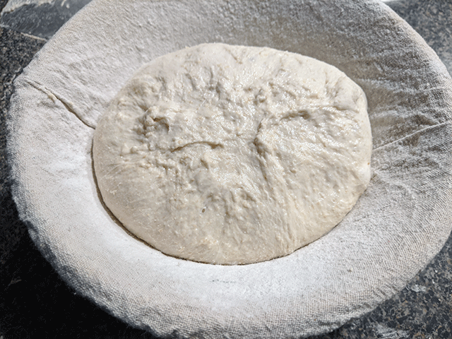 White 'N' Wheat Artisan Sourdough Bread in banneton