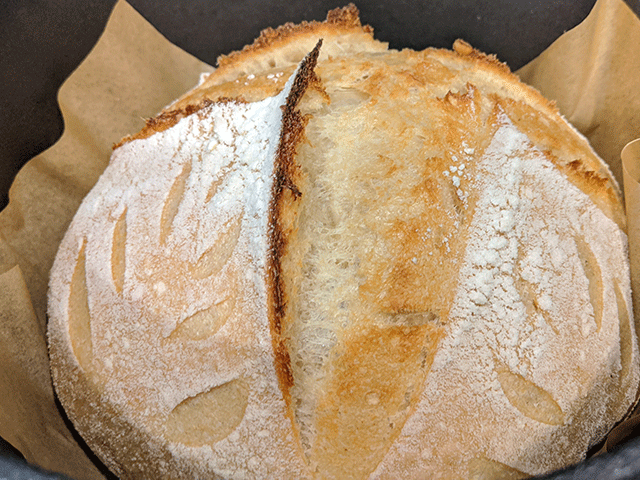 White 'N' Wheat Artisan Sourdough Bread Dutch oven lid removal