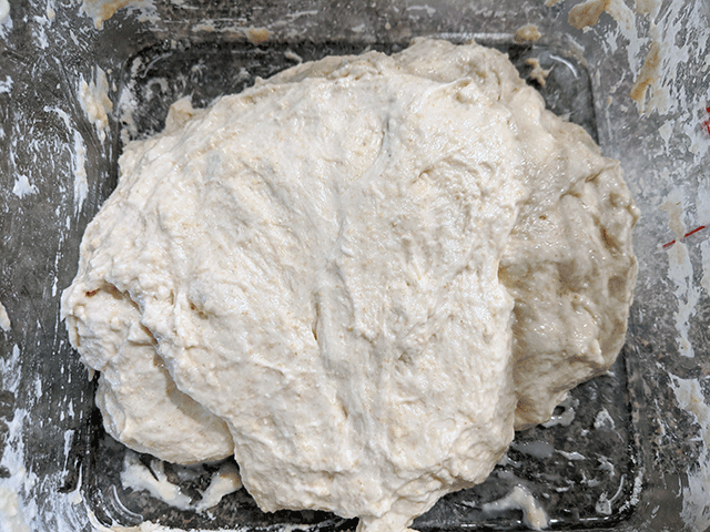 mixed White 'N' Wheat Artisan Sourdough Bread dough