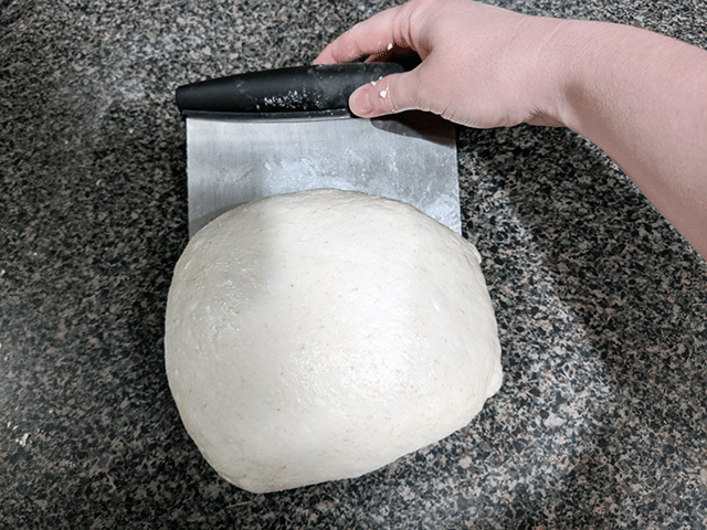 Preshaping White 'N' Wheat Artisan Sourdough Bread
