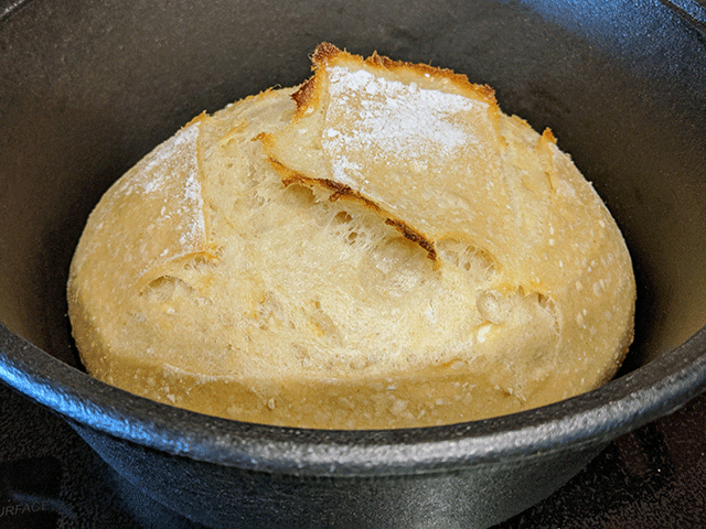 remove lid from dutch oven for White 'N' Wheat Artisan Sourdough Bread