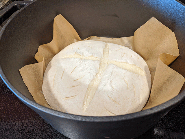 scored White 'N' Wheat Artisan Sourdough Bread dough with parchment paper in dutch oven