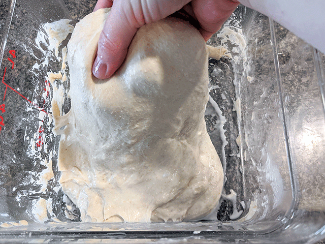 Stretch dough for White 'N' Wheat Artisan Sourdough Bread