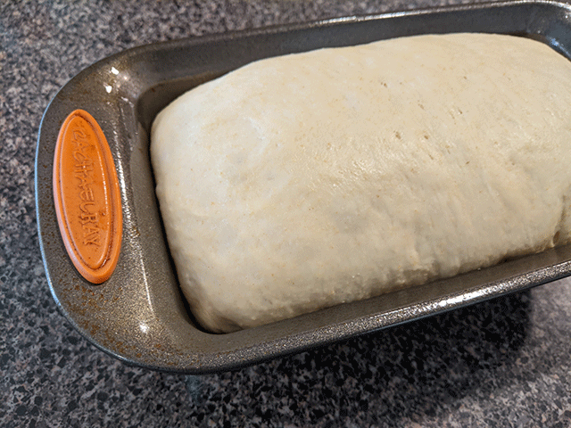 super soft sourdough sandwich bread dough risen in pan