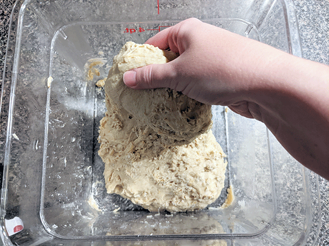 maple oat sourdough sandwich bread dough stretch