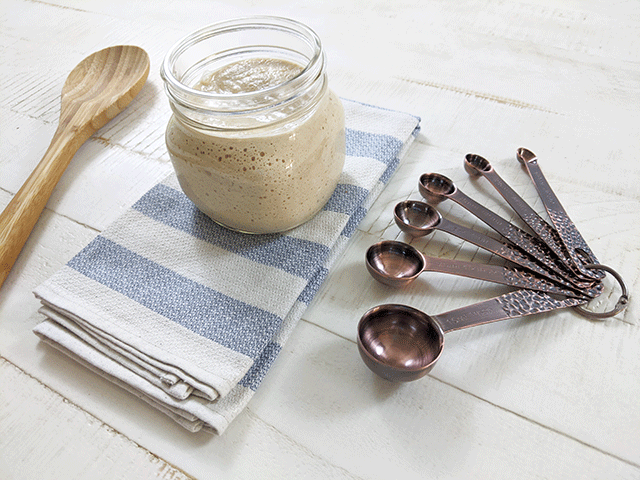 whole wheat starter next to wooden spoon and measuring spoons