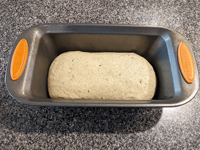 beginner light rye sandwich dough