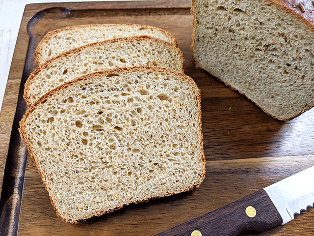 Beginner Light Rye Sandwich Bread
