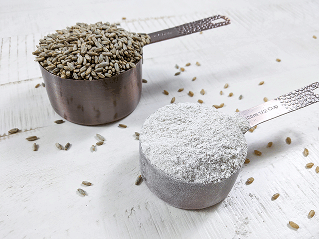 rye berries and rye flour in measuring cups