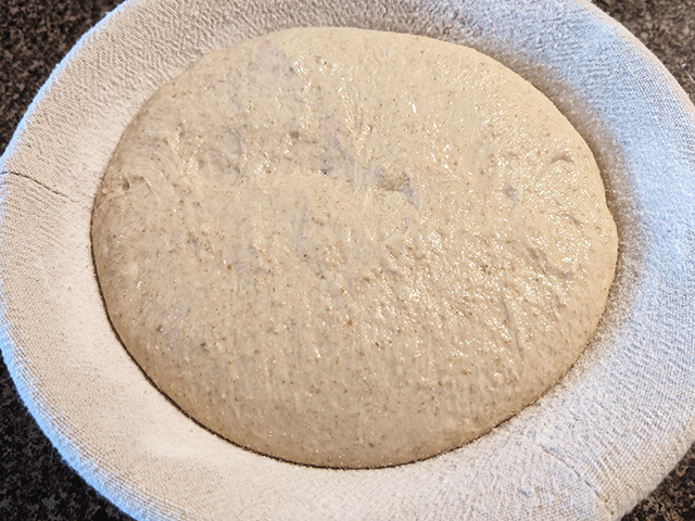 white and wheat and rye bread dough in banneton basket
