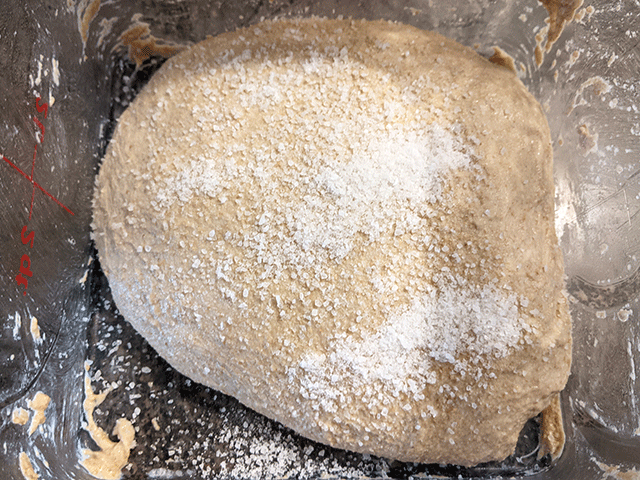 100% whole wheat sourdough bread dough with sea salt