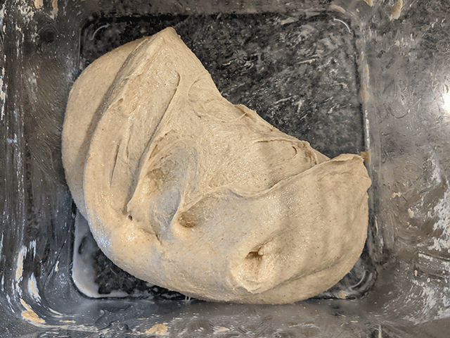folding 100% whole wheat sourdough bread dough