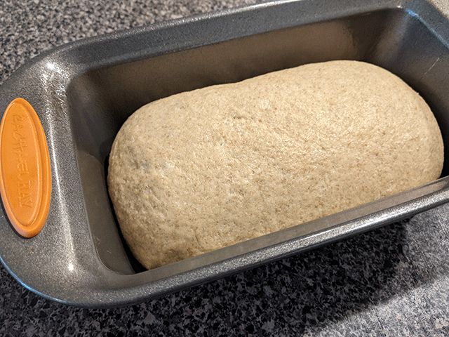 honey wheat and rye sourdough sandwich bread dough