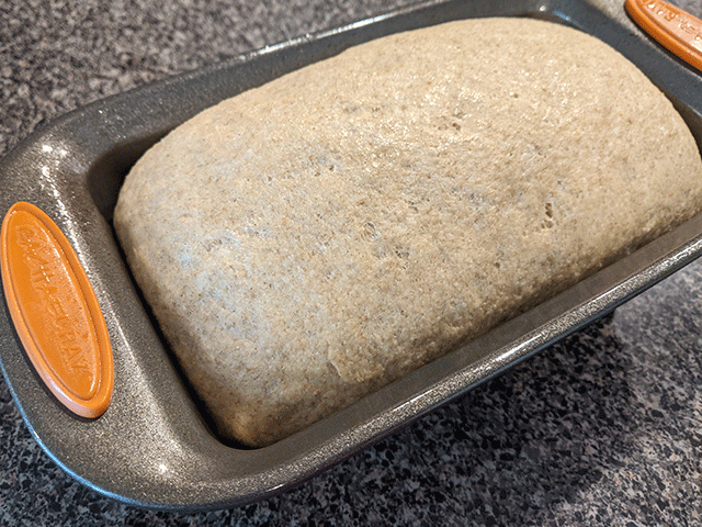honey wheat and rye sourdough sandwich bread dough