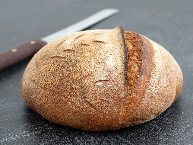100% whole wheat sourdough bread