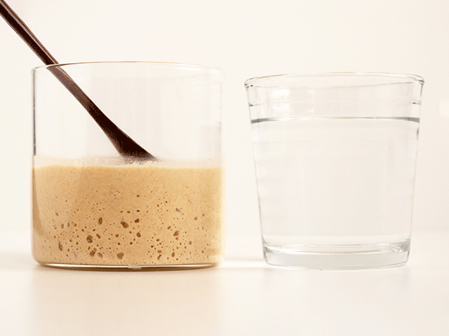 does the float test work? a glass of sourdough starter next to a glass of water