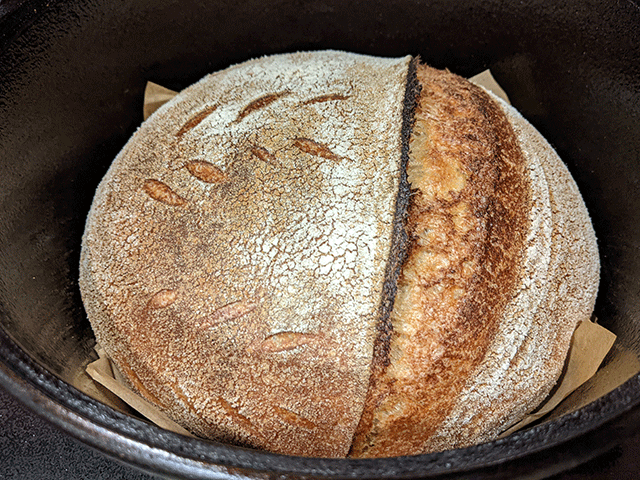 100% whole wheat artisan sourdough bread