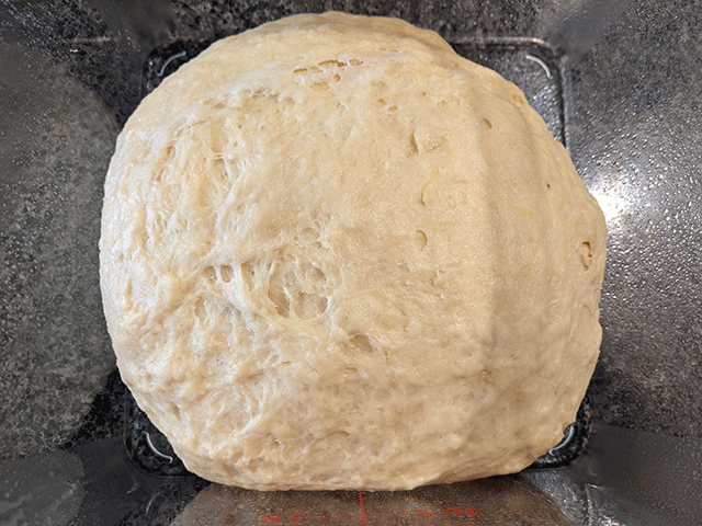 brioche dough in container