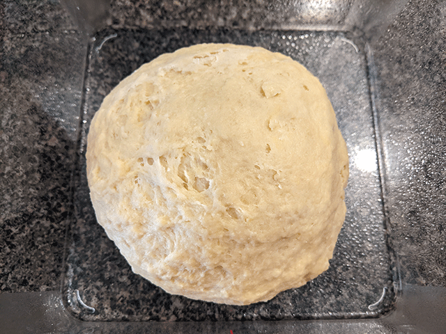 beginner brioche sandwich bread dough in container