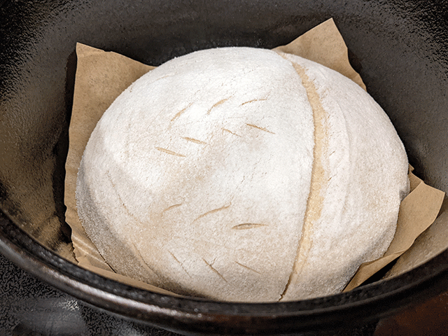 100% whole wheat artisan sourdough bread